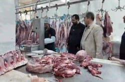 عرضه گسترده اقلام پروتئینی تنظیم بازار در کیش با نرخ مصوب